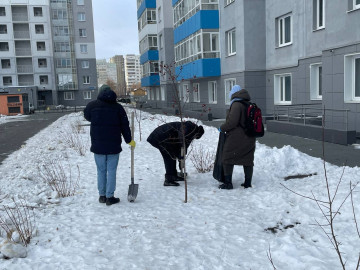 Субботник собаководов! ;)