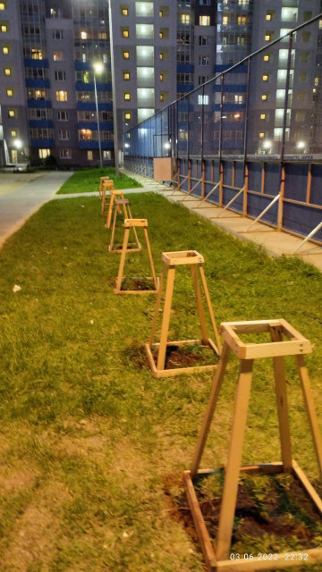 Произведена пересадка кустов сирени согласно плану озеленения